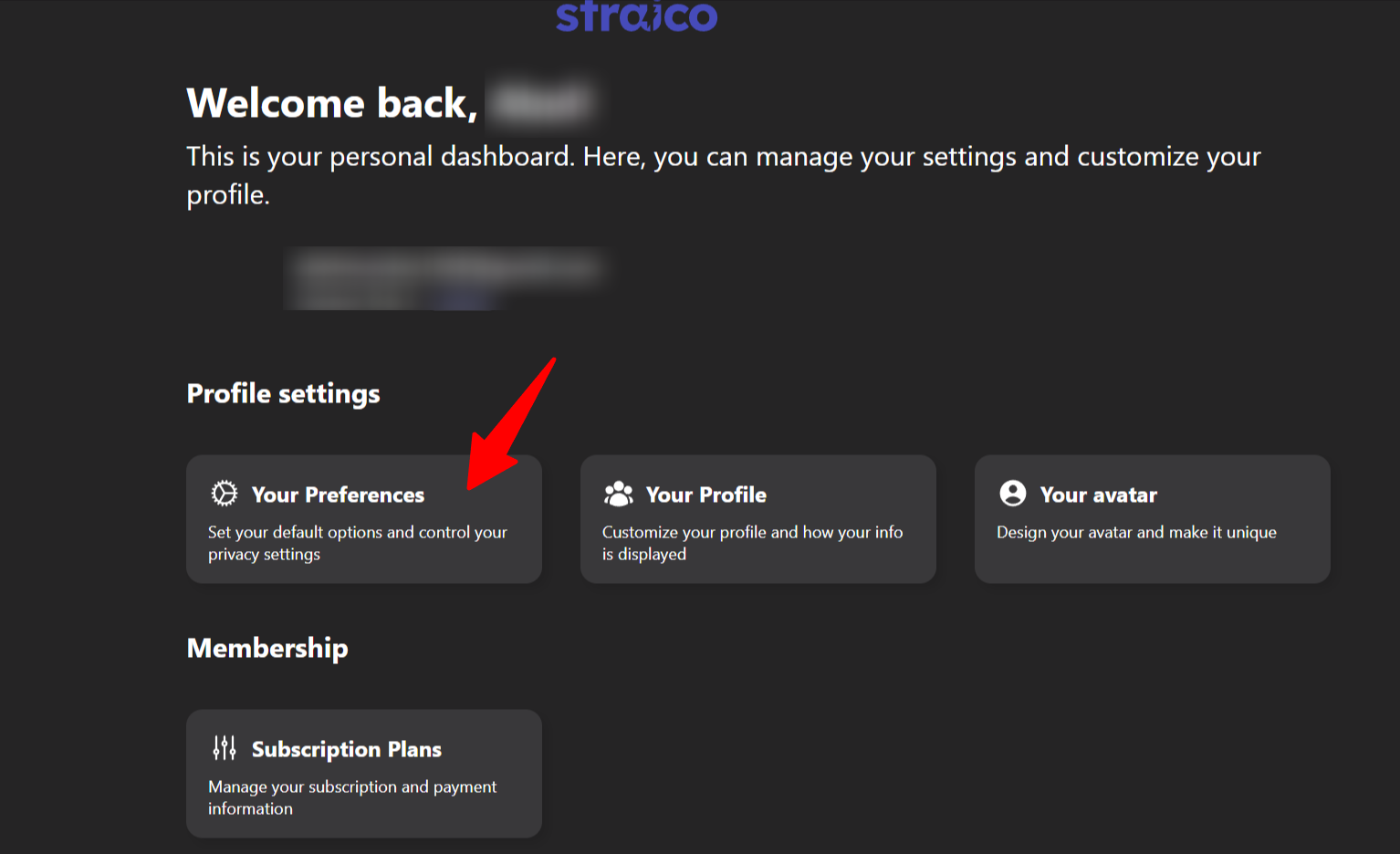 Acceder a Your Preferences en Straico