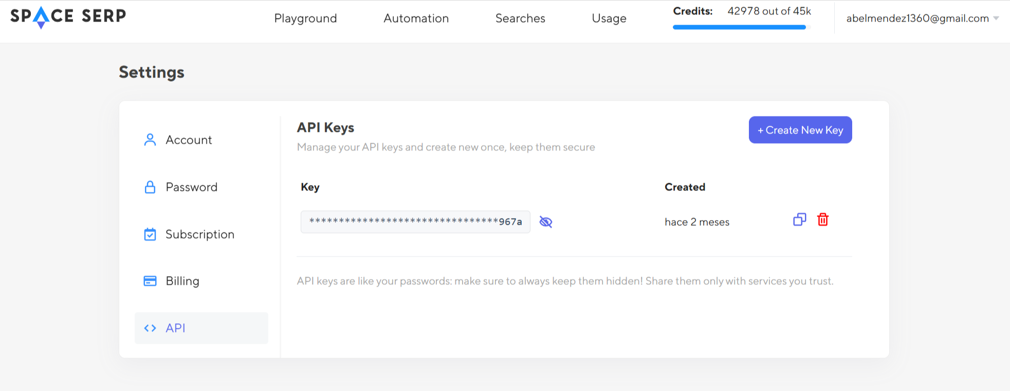 Sección de API Keys en SpaceSerp